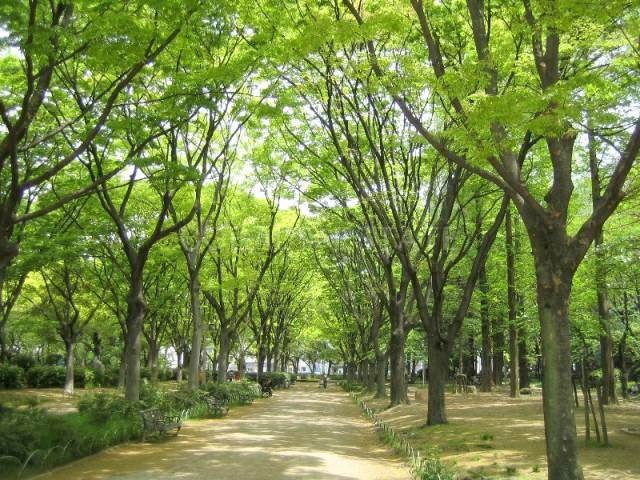 公園