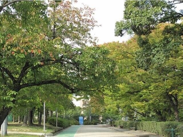 公園
