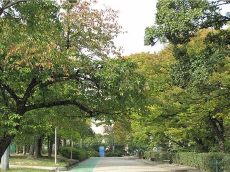 公園