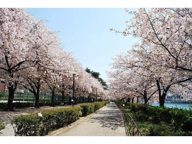 公園