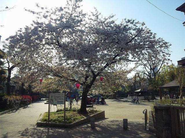 公園