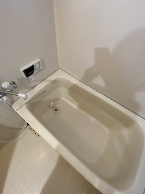 バス