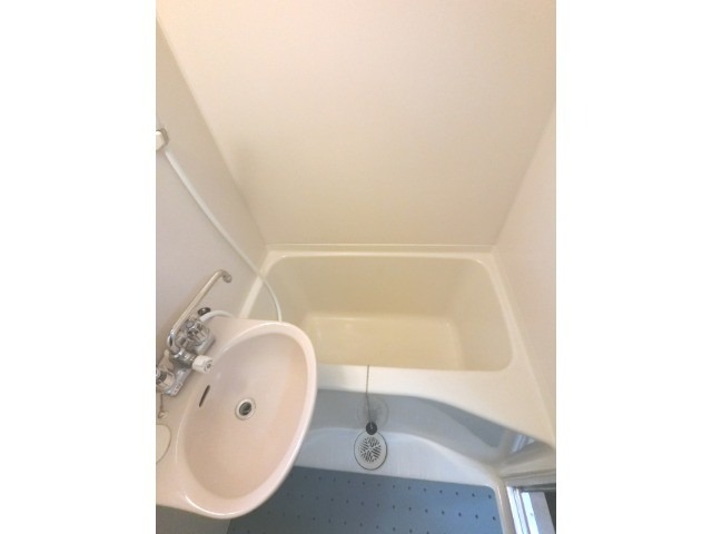 バス