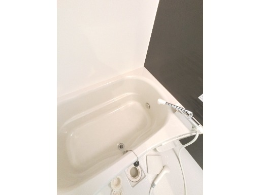 バス