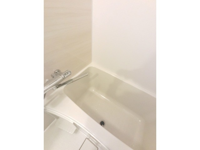 バス