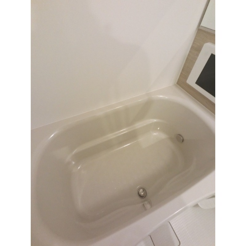 バス