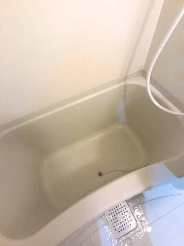 バス