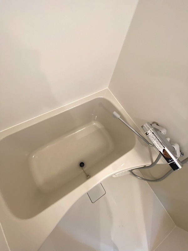 バス
