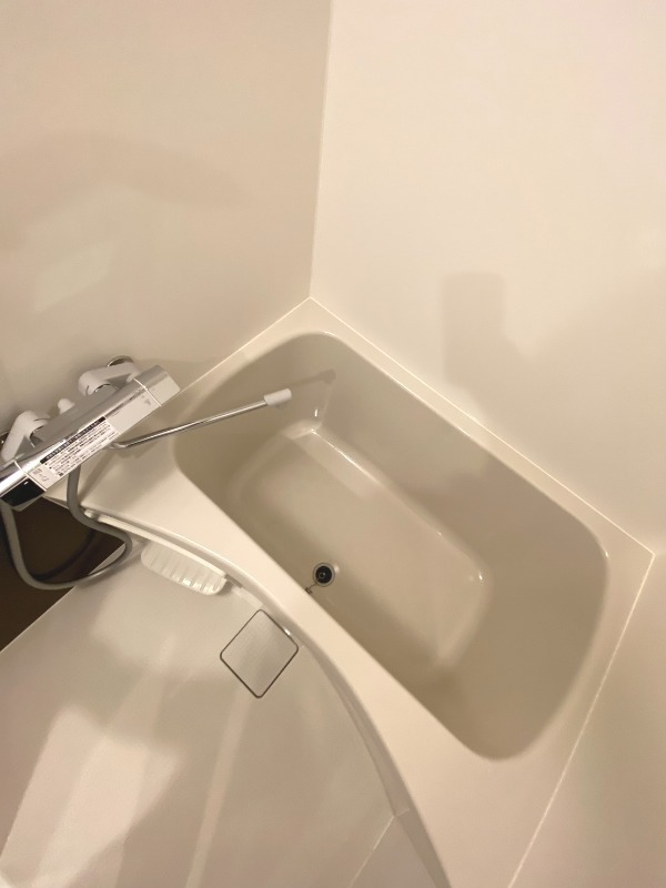 バス